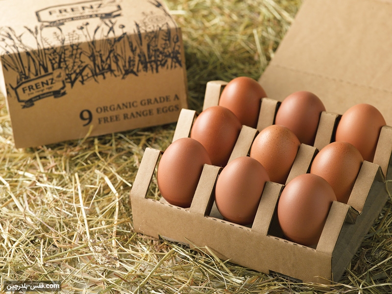 انواع بسته بندی خلاقانه برای تخم بلدرچین و تخم مرغ