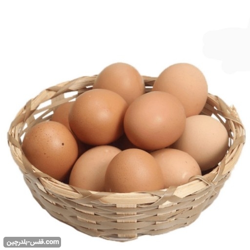 قیمت، خرید و فروش تخم مرغ محلی
