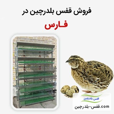 فروش قفس بلدرچین در فارس