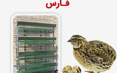 فروش قفس بلدرچین در فارس