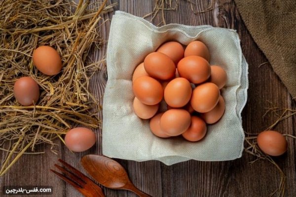 قیمت، خرید و فروش تخم مرغ محلی